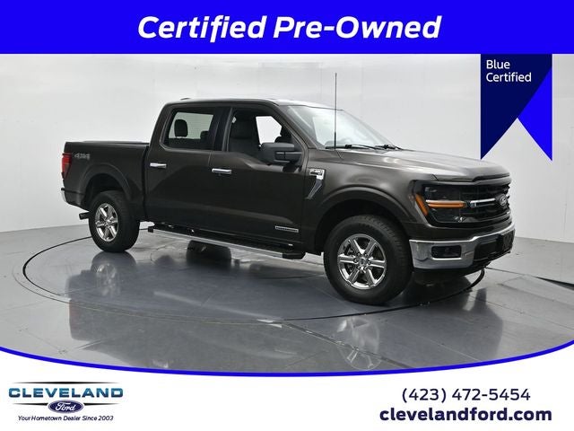 2024 Ford F-150 XLT in Bronze Metallic — front three-quarter view